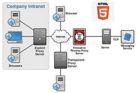 HTML5培訓與開發(fā) 火龍果軟件助力軟件開發(fā)技能提升